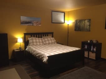 Ikea duvet cover set/insert/pillows $20 1