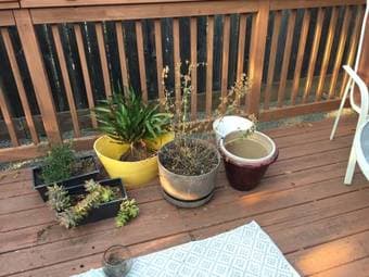 Potted plants and pots 3