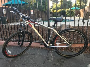 Man bike$150，children ＄40 1