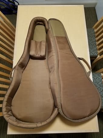 Acoustic guitar case 2