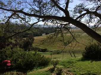 Long or short-term lease starting Sep25 in a gorgeous 5BR/4BA house 1