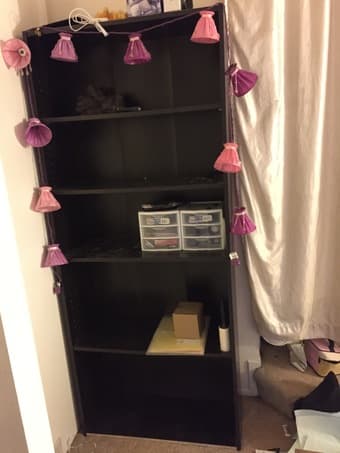 Tall Bookshelf 1