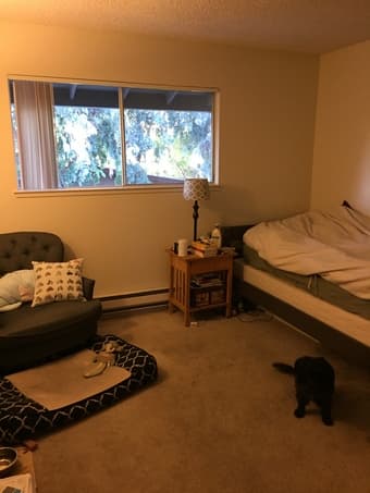 Private Bed and Bath in Santa Clara Apartment 1