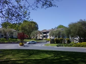 Quiet 1BED/1 BATH furnished 777 San Antonio Rd, Palo Alto 1