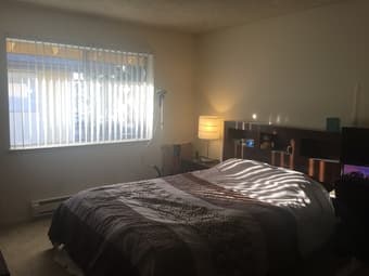 1 Bedroom spacious apartment in S Rengstorff (MV), Nov 1st-May 20th) 1