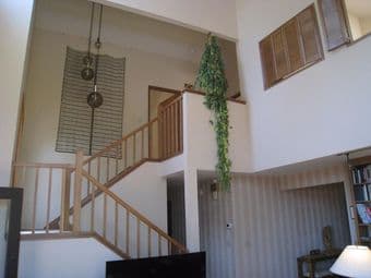 ***** LARGE HOME, CLEAN AND AMAZING ROOMIES ***** 3