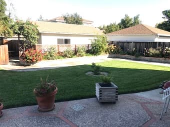 The easiest move-in you’ll ever have! Large home! Incredible roommates 2