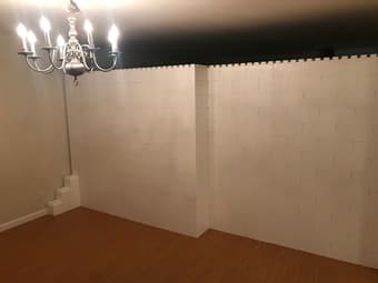 Diverse group of friends looking for an extra roomie! 3
