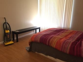 Free sofas and bed by Monday 10/30 2