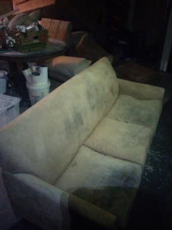 2 Free couches and some futon cushions 3