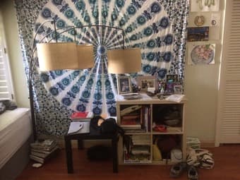 Spacious room in palo alto 2