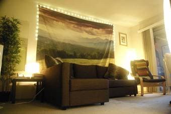 mid-december to mid-january sublet large master bedroom in menlo park 3