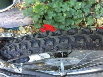 Bike for sale 2
