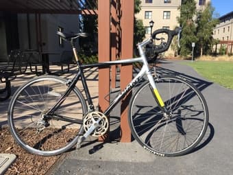 Giant OCR3 1