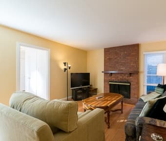 Looking for a great roommate 2