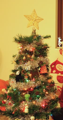 Christmas Tree (2 1/2 feet) 1