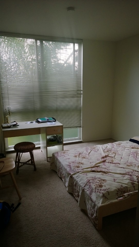 ONE BEDROOM IN Mountain view/Palo alto(1/11/18) - $1,100 ALL included 1