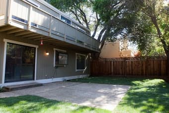 Looking for a great roommate 2