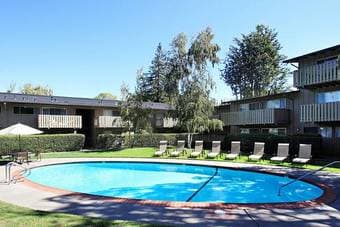 one bedroom available of a 2B2B apartment in Alma St (Palo Alto) 1