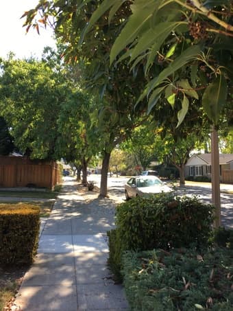 3br 1.5 ba - 1260ft2 - Redwood City Woodside Plaza Single Family Home 1
