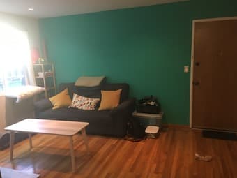 beautiful spacious family owned apartment in Downtown North PA Pets! 2
