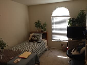 Private Room in beautiful Palo Alto neighborhood - available 1/12 1