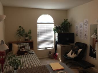 Private Room in beautiful Palo Alto neighborhood - available 1/12 2