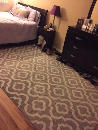 Rugs for Sale 2