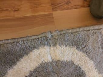 Rugs for Sale 3