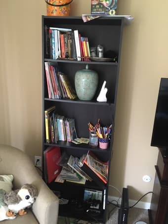 Electric Fire place/TV stand + Bookshelf + Electric Grill 2