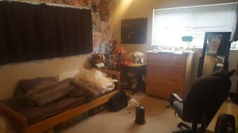 Large Sunlit Private Room, Shared Apt, near Apple, 15 min Stanford 3