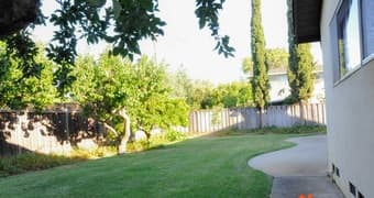 Big room and amazing roommates--come meet us! 2
