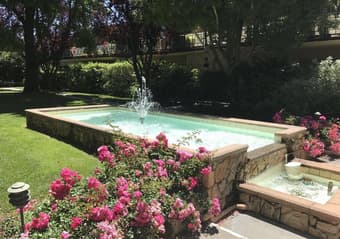 主卧招室友Looking for a female roommate in downtown PA apartment 1