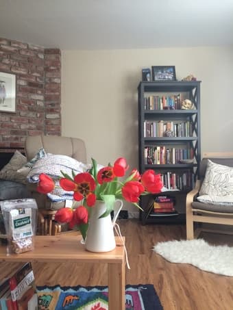 Jan. 29 - March 14 Furnished bedroom 5 mins from campus 3