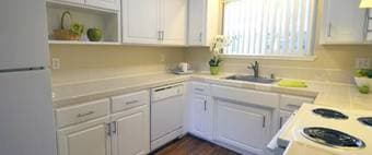 2Br/2Ba Mountain View Aparmtent for Rent 3