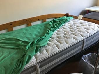Day bed and mattress 1