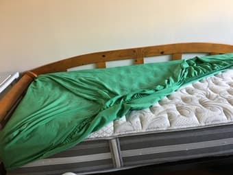 Day bed and mattress 2