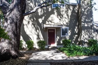 Big room and amazing roommates--come meet us! 2