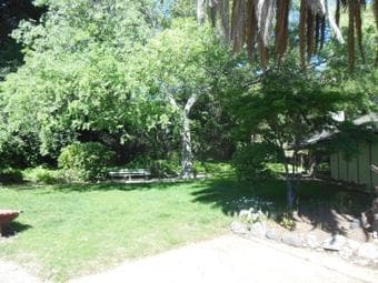 Looking for a fun roomate! Room is $850 in San Carlos 3