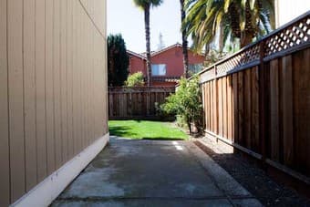 Looking for a great roommate 2