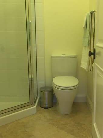 Female roommate, furnished 2B/2B, close to campus, March 01 3