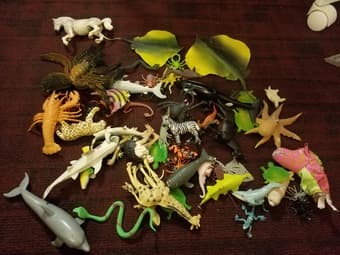 Assorted animals for kids 1