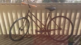 Fixie bike 1