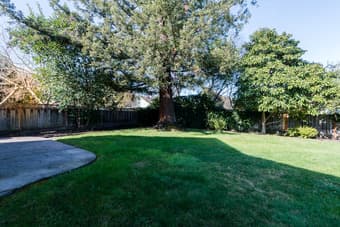 Looking for a great roommate to fill our open room in Palo Alto! 1