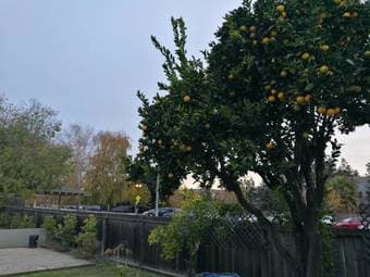 Awesome co-living house looking for a new roomie! 5br/2ba - $1,070 2