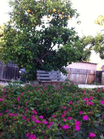 $950 Furnished private room in a single house in Menlo Park rent 3/1 1