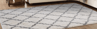 Costco Rug 1