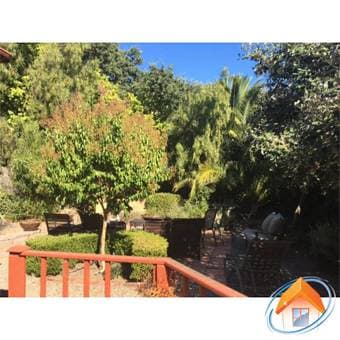1 Bedroom in College Terrace Cottage (1 blocks from campus) 3