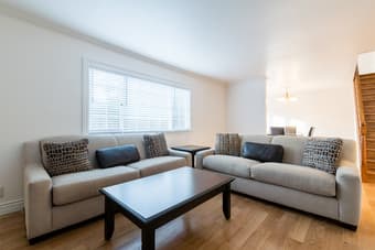 Looking for our next housemate 2