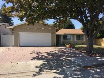 Gorgeous house with friendly housemates! - $1,250 1